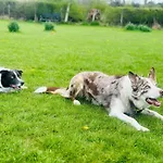 3 Bed In Carnforth Oc-90531