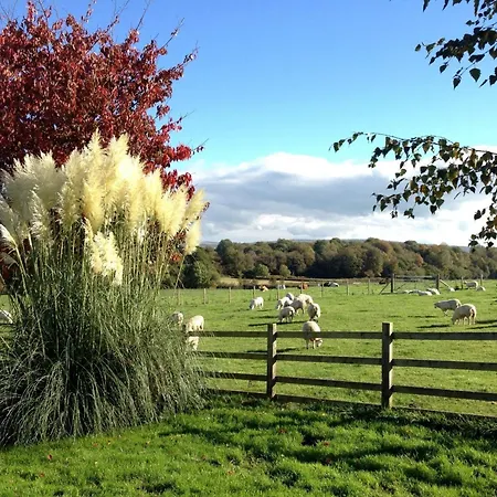 Semesterbostad 3 Bed In Arnside And Silverdale 90531