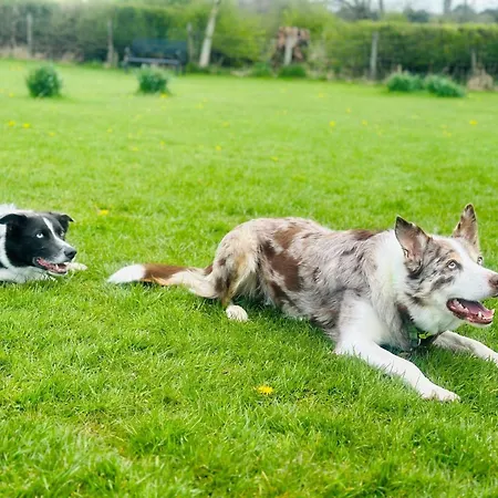 3 Bed In Arnside And Silverdale 90531 * Beetham